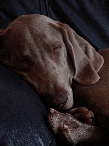 P1130320a.jpg
