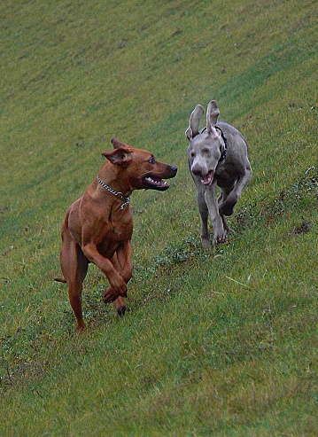 P1130360a.jpg