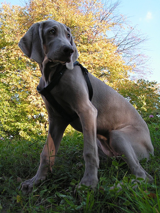 PICT0369a.jpg